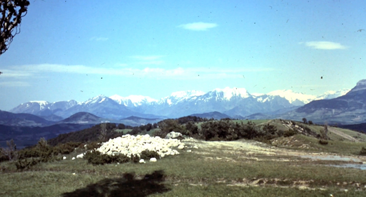 May 16th 1967