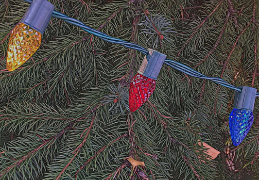 My First Christmas In My own Place Tempered by warm well wishes for those less fortunate