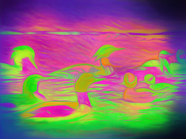 Ducks