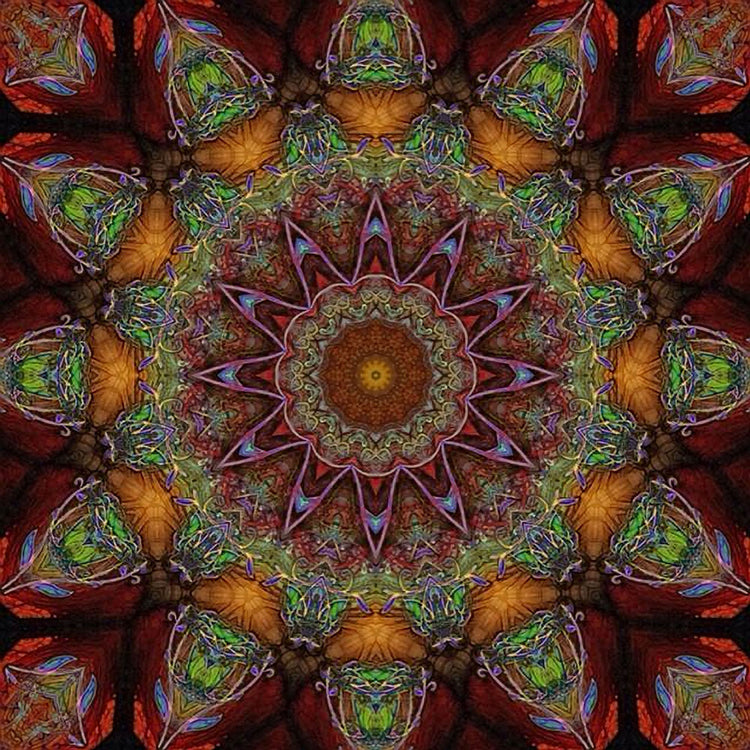Earthy Kaleidoscope
