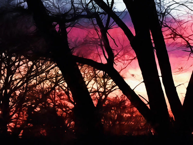 Fall Sunset Through The Trees