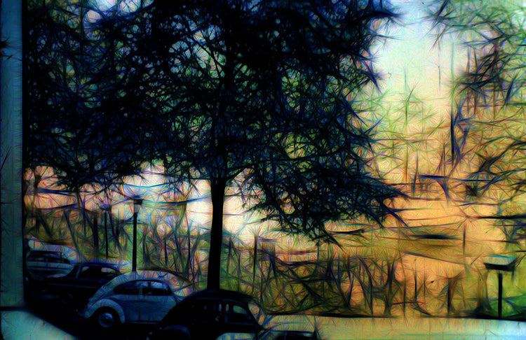 Parking Under a Tree