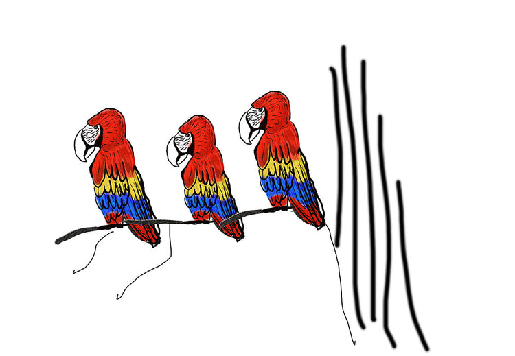 Parrots On The Tree