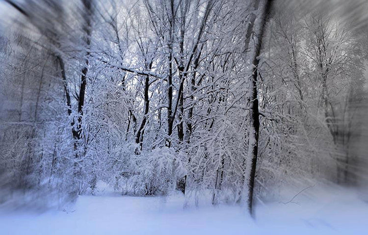 Snowscape