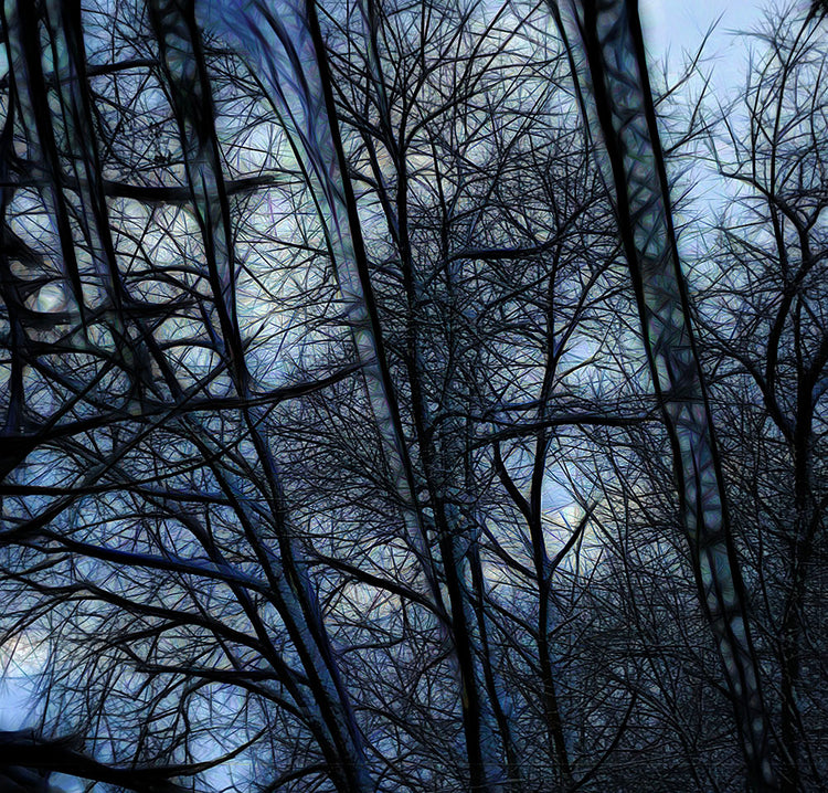 Twilight Icicles