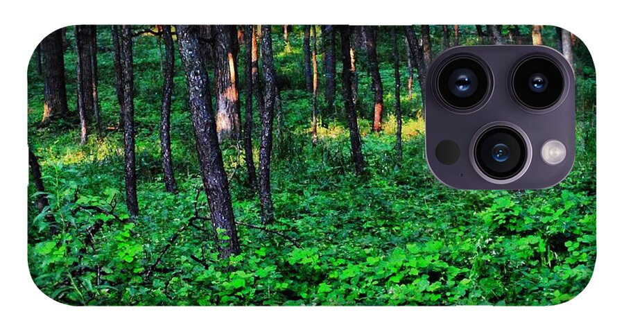 Patchy Sunlight In The Woods 1 - Phone Case