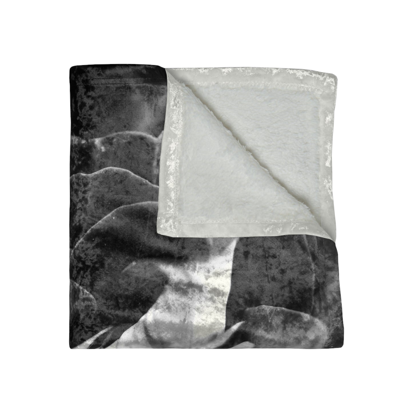 Dark Black and White Rose Crushed Velvet Blanket