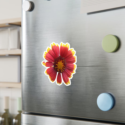 Gaillardia Kiss-Cut Vinyl Decals