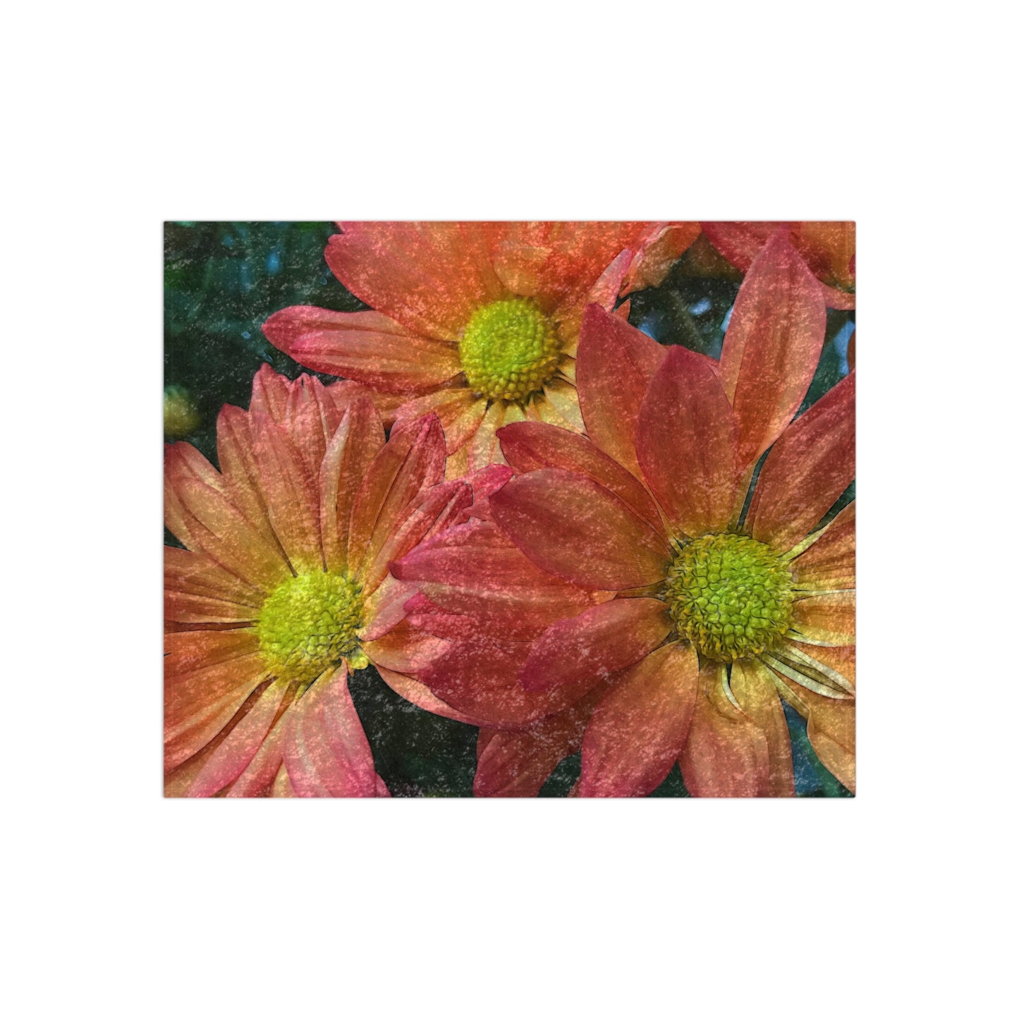 Cream and Pink Three Flowers Crushed Velvet Blanket
