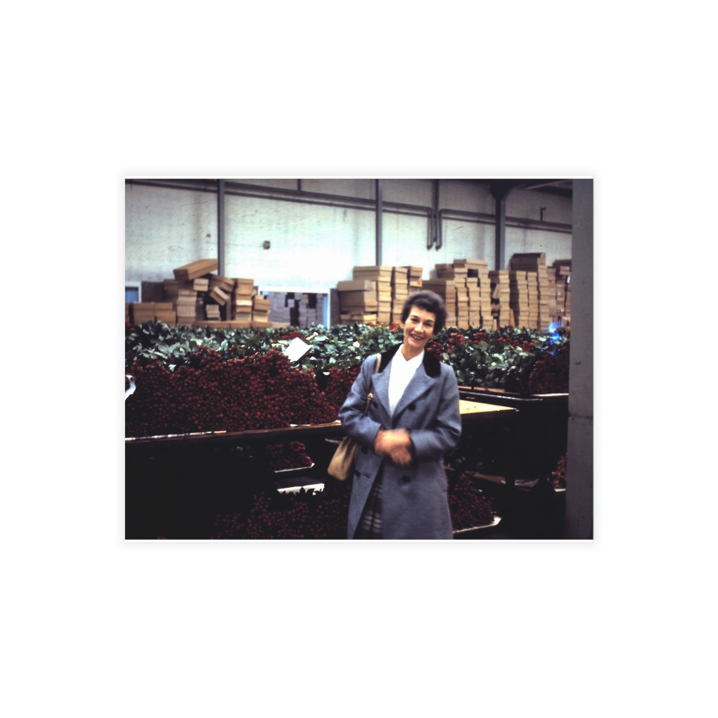 Europe 1967 No 10 Postcard Bundles (envelopes included)