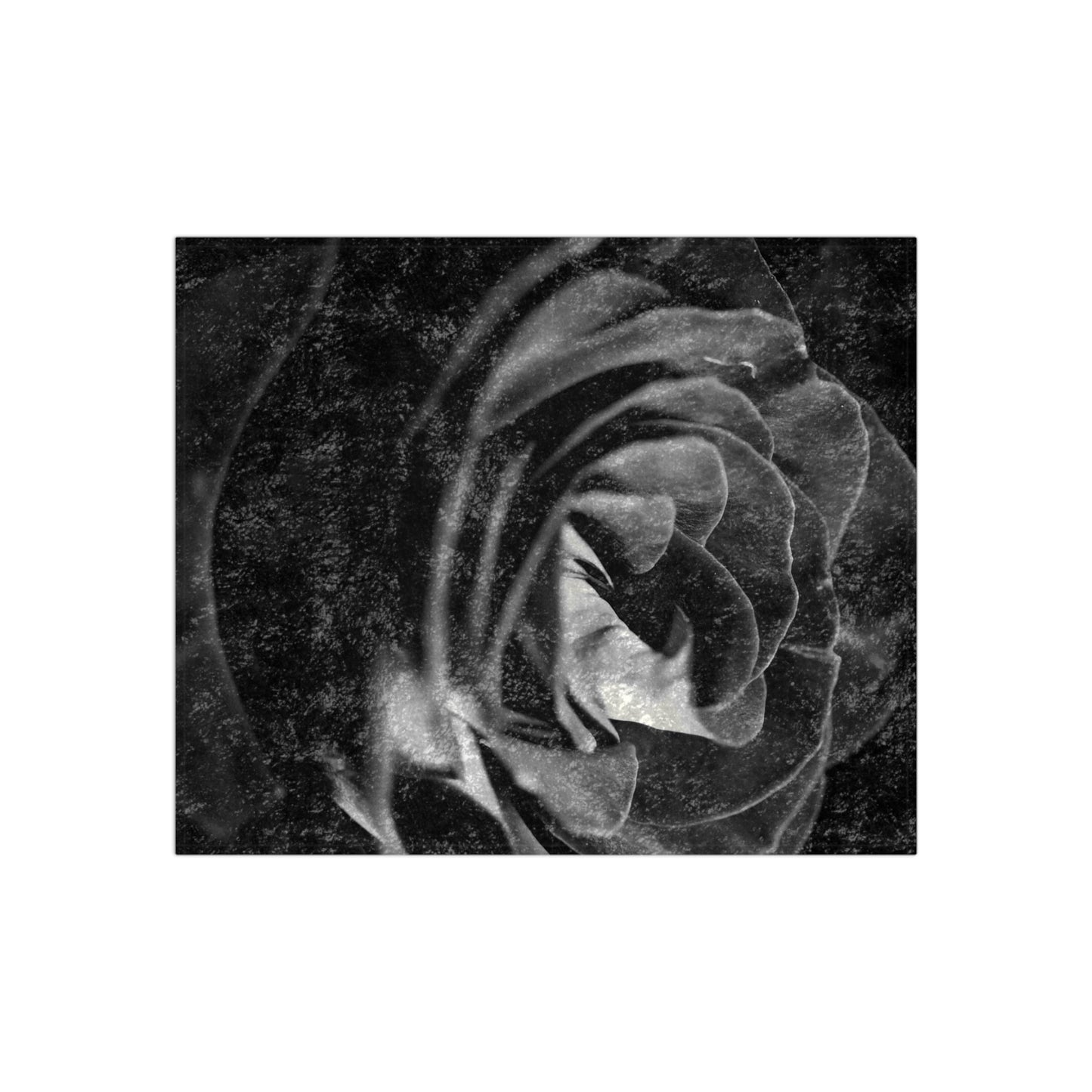 Dark Black and White Rose Crushed Velvet Blanket