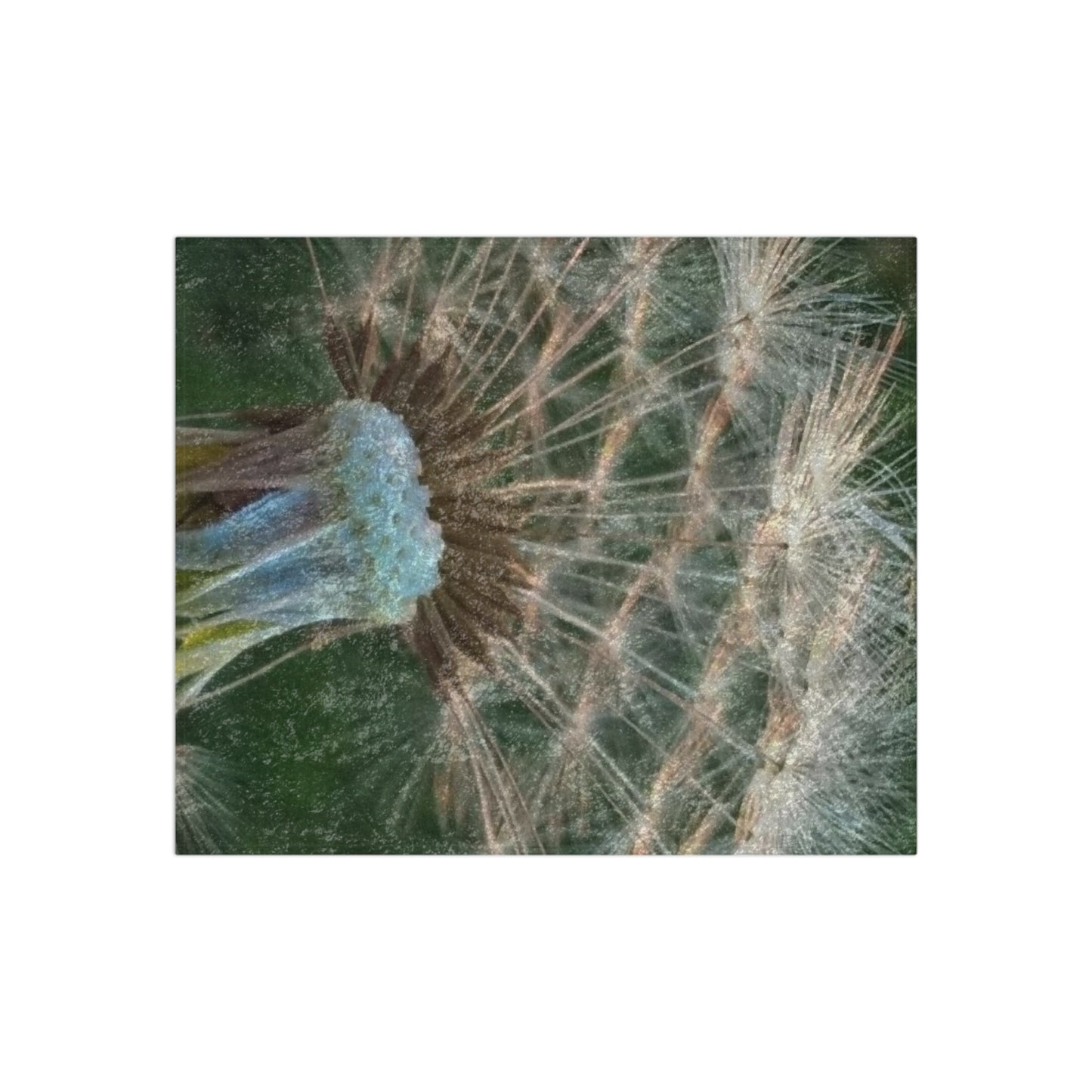 Dandelion Wish Crushed Velvet Blanket