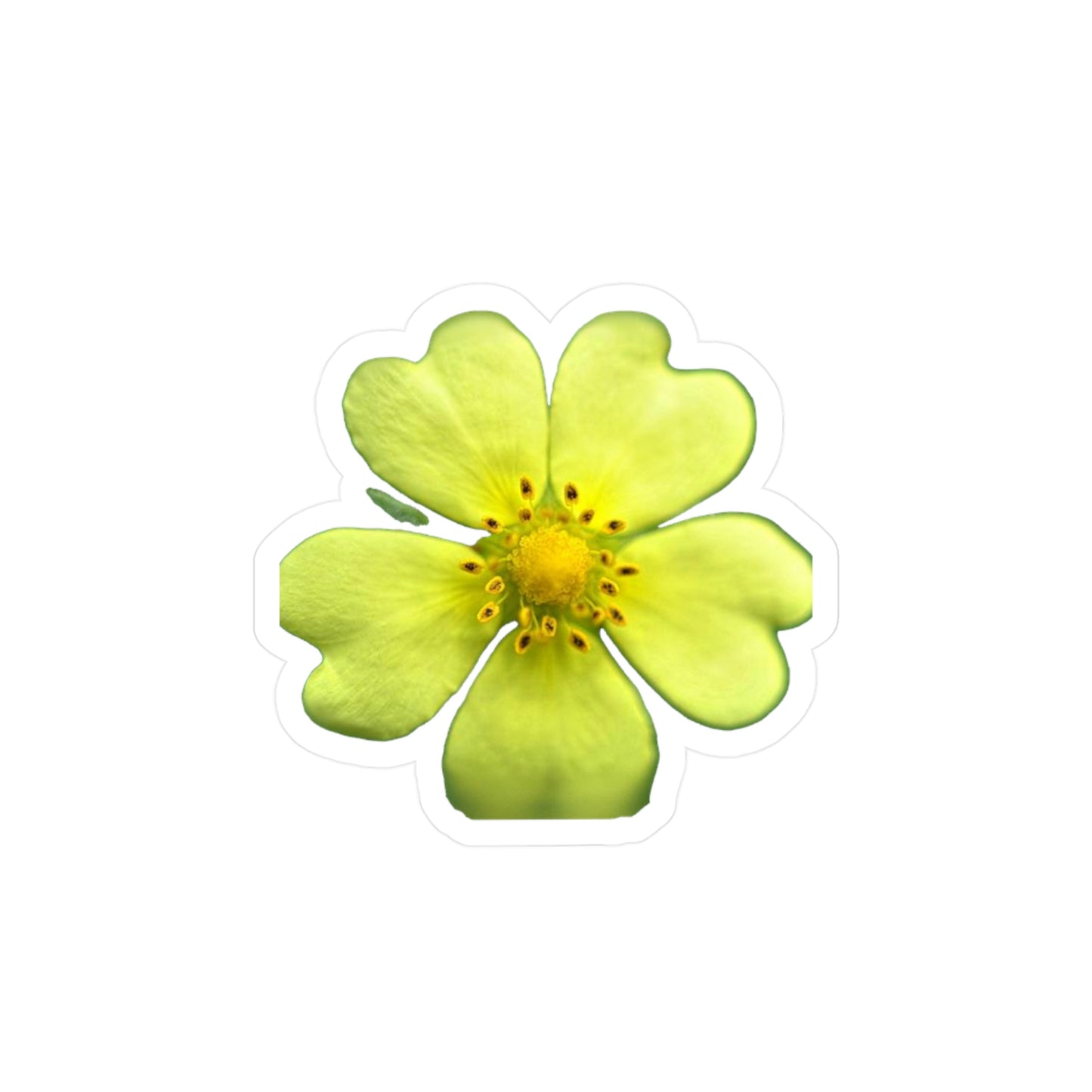 Yellow Wildflower Kiss-Cut Vinyl Decals