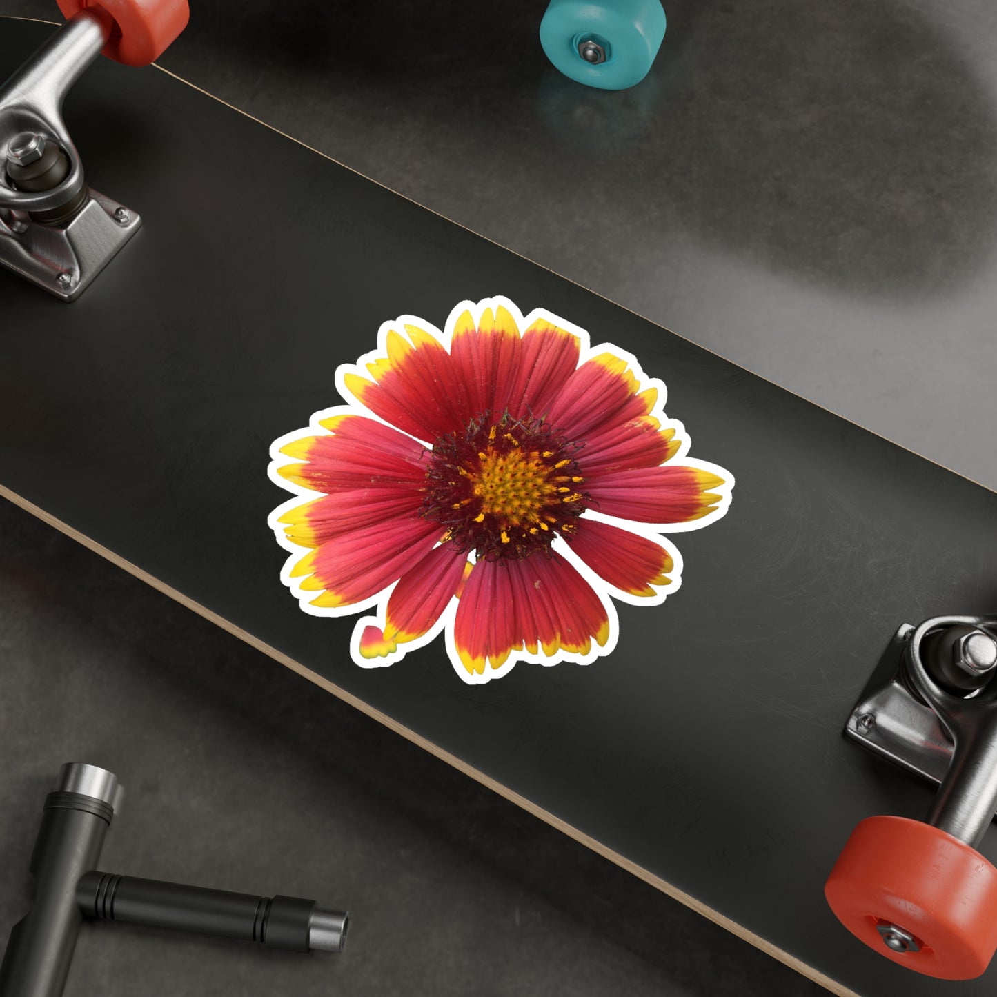 Gaillardia Kiss-Cut Vinyl Decals