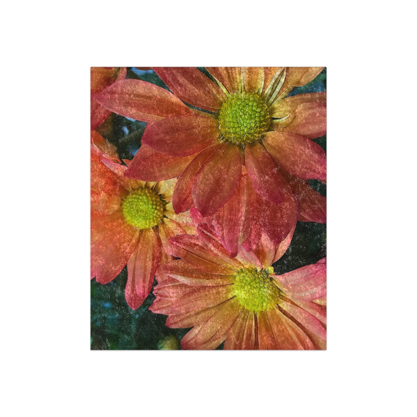 Cream and Pink Three Flowers Crushed Velvet Blanket