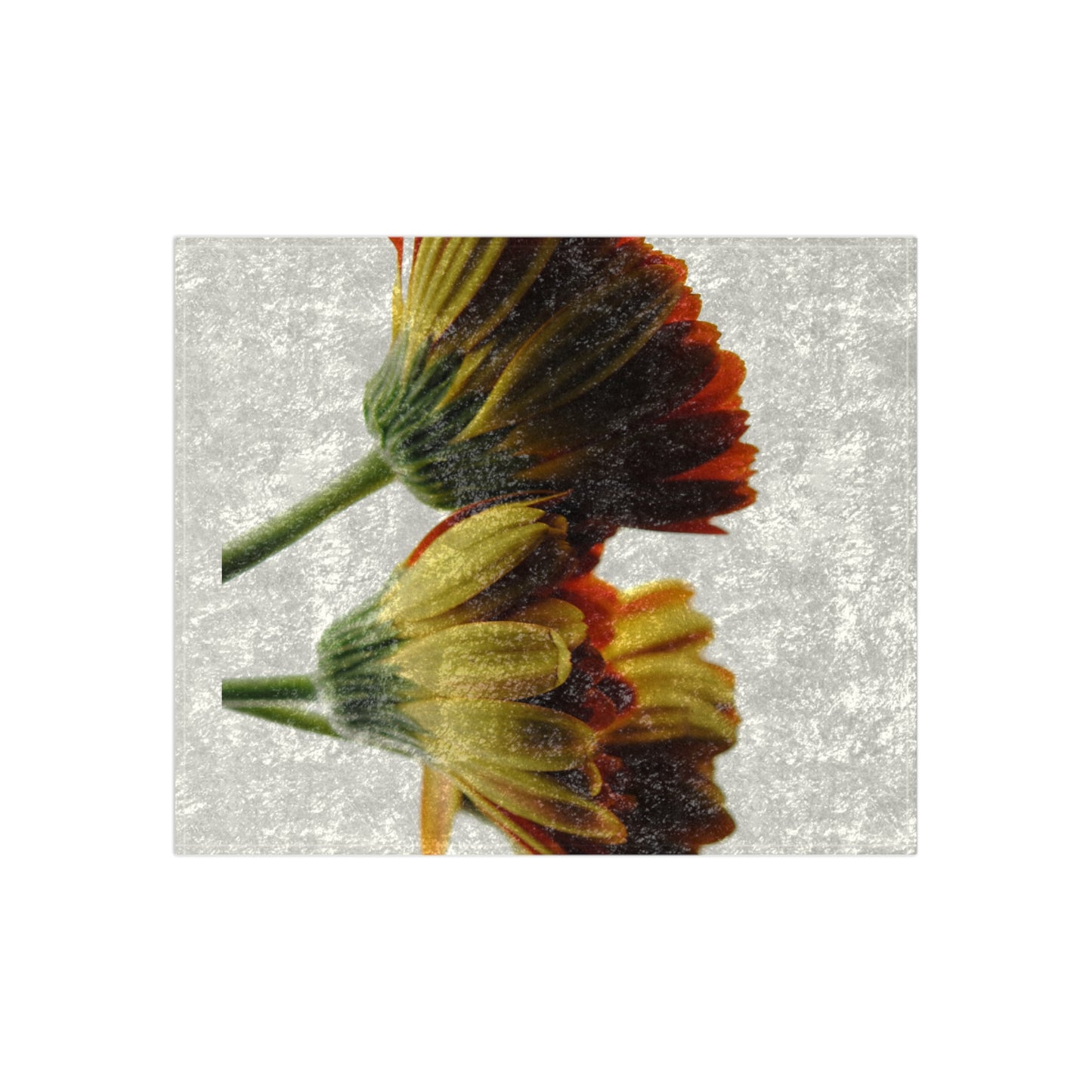 Daisy Undersides Crushed Velvet Blanket