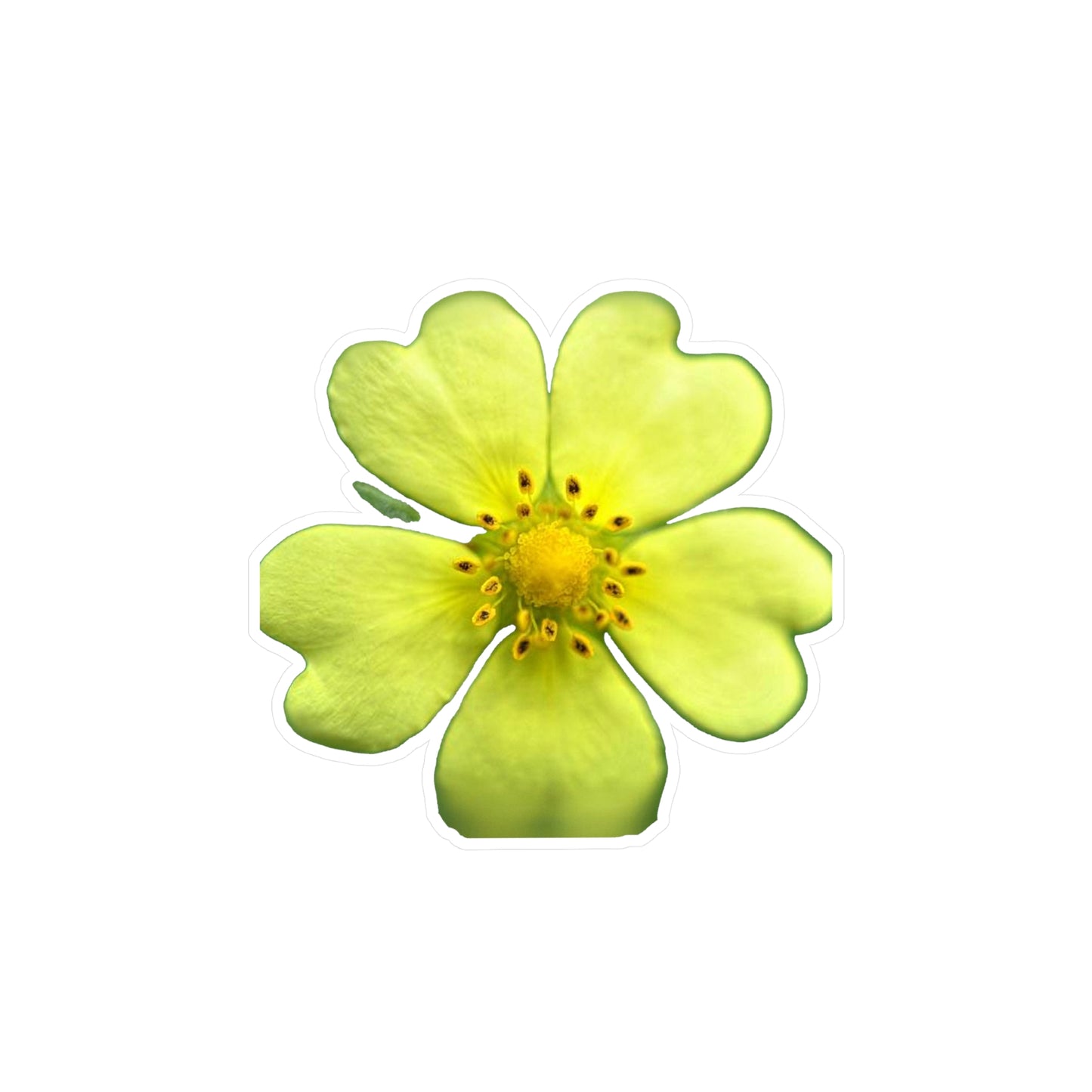 Yellow Wildflower Kiss-Cut Vinyl Decals