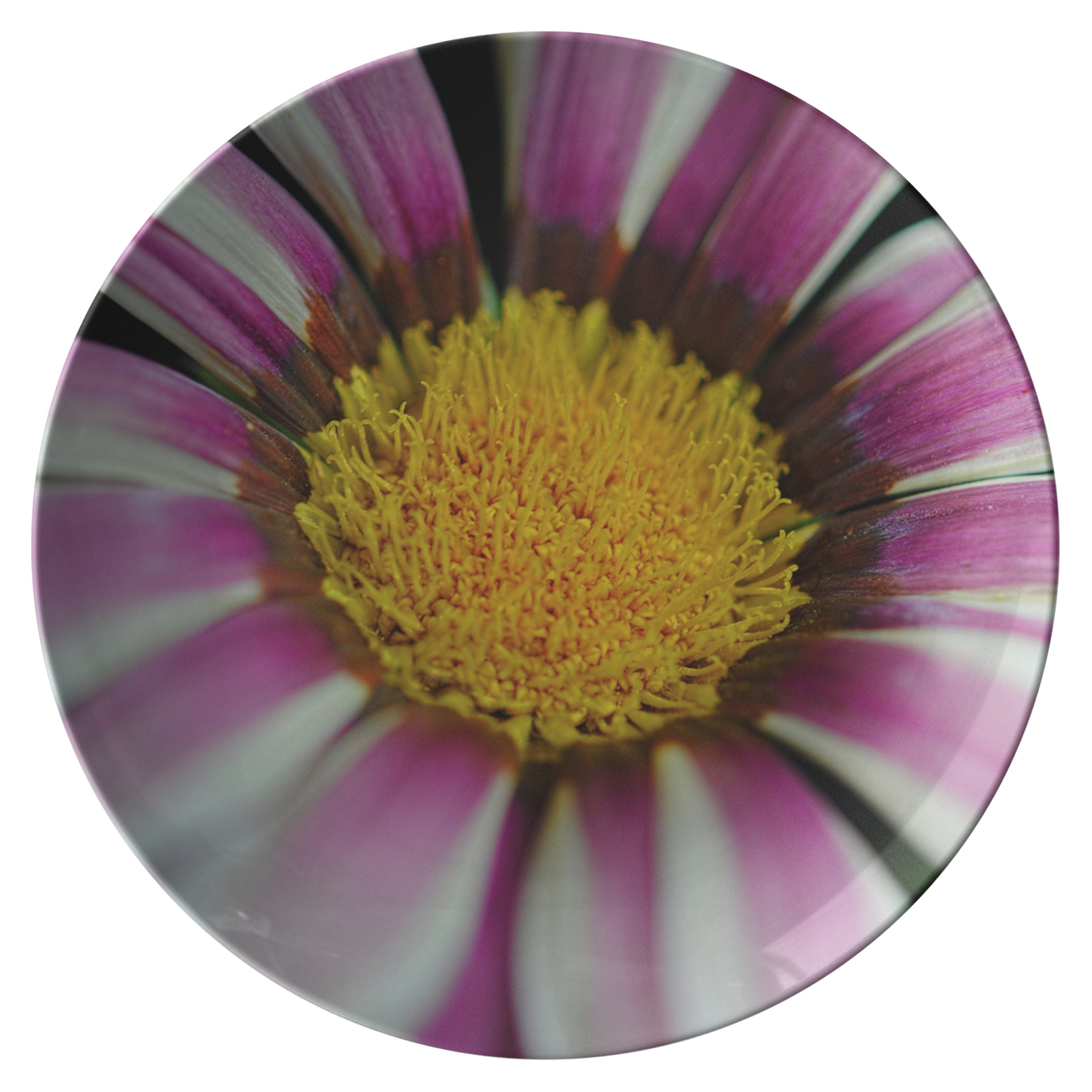 Pink_and_White_Flower_With_Pollen_Dinner_Flat_Mockup.png