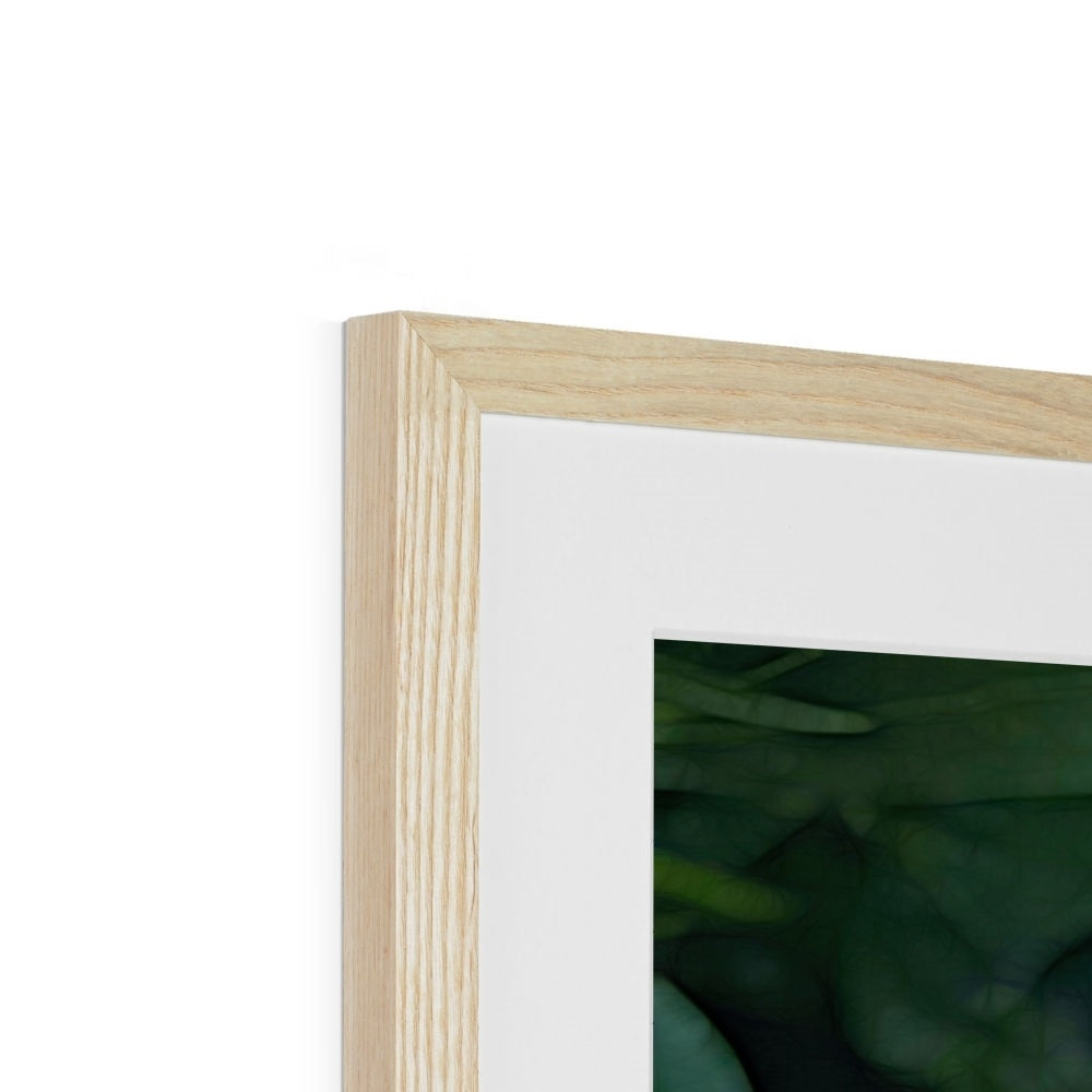 June Peony Framed & Mounted Print