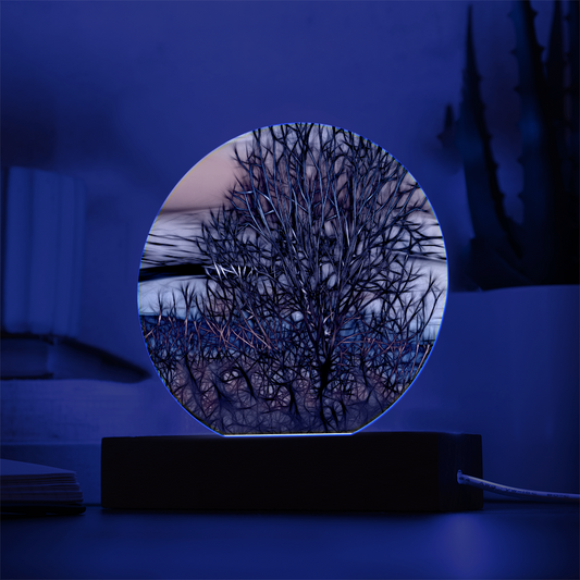 Abstract Sunset Tree LED Light