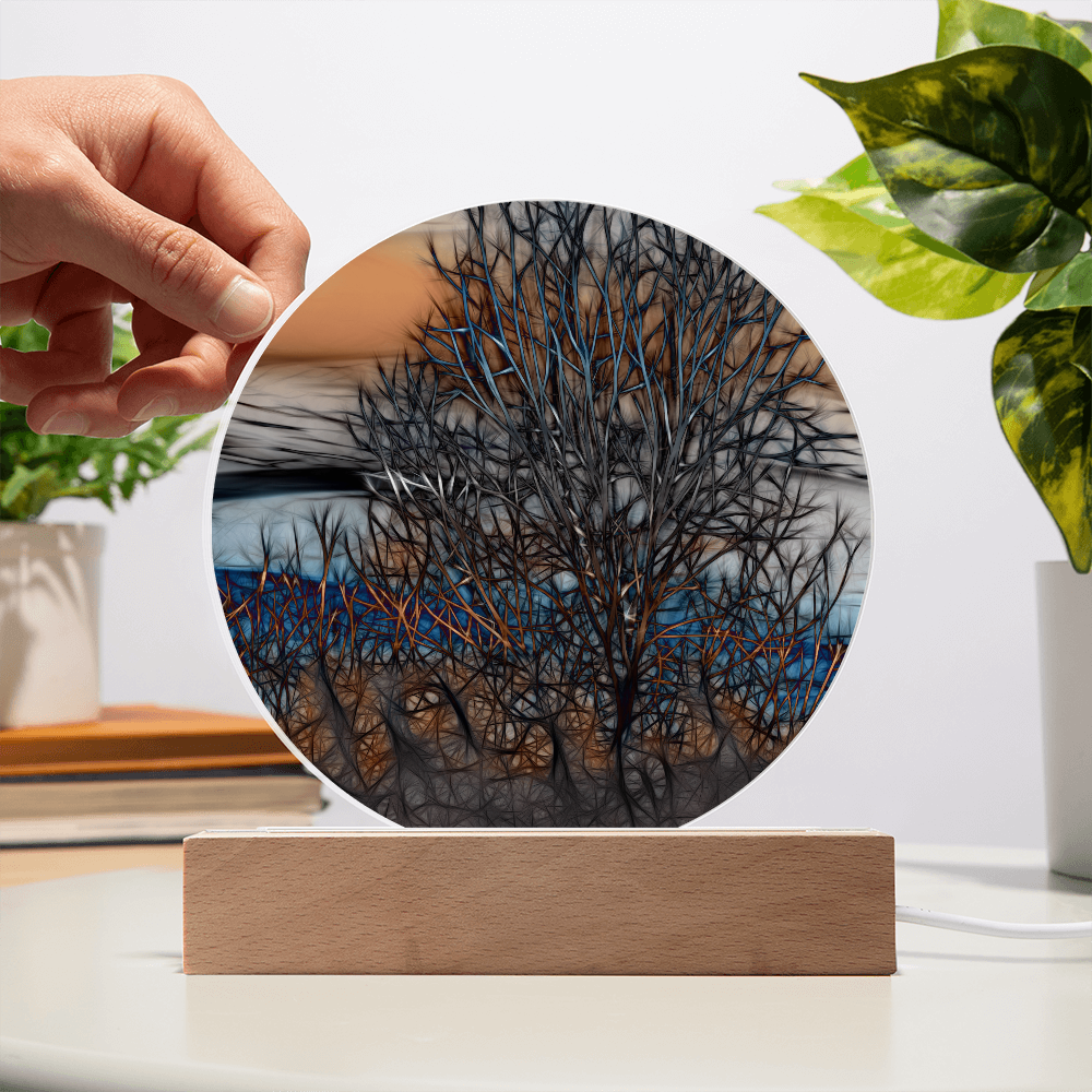Abstract Sunset Tree LED Light