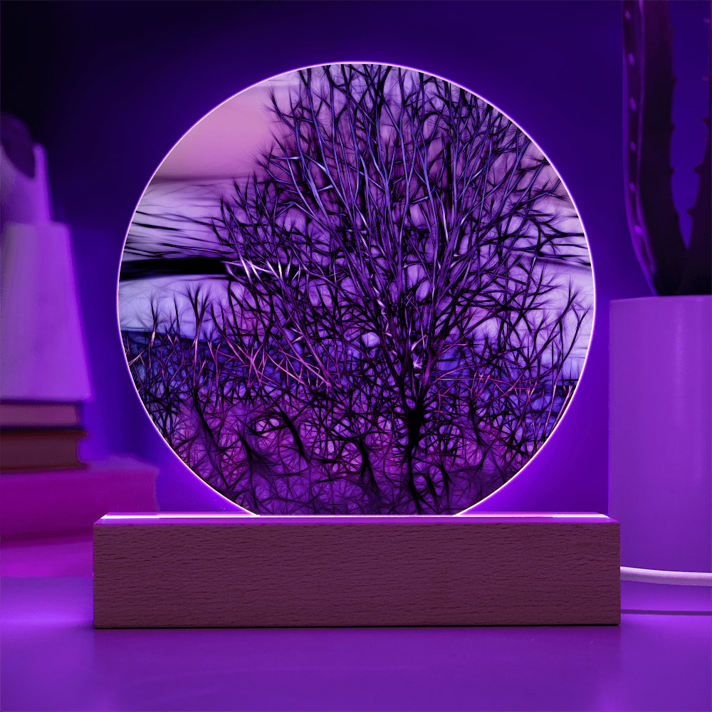 Abstract Sunset Tree LED Light