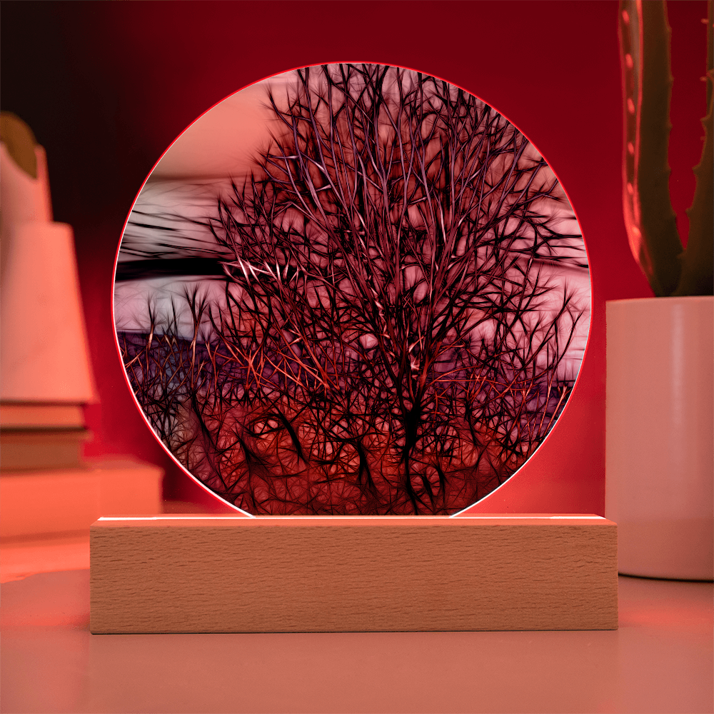 Abstract Sunset Tree LED Light