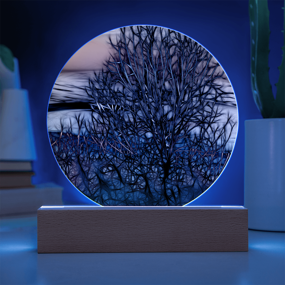 Abstract Sunset Tree LED Light
