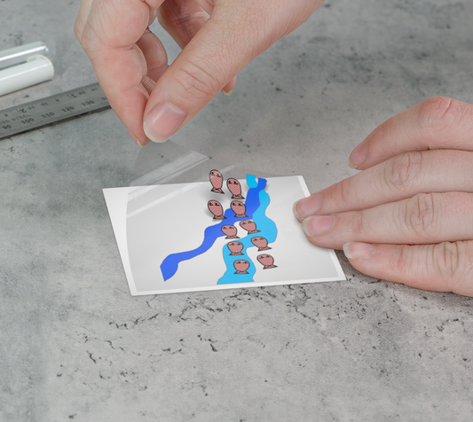 Checkered Fishies Sticker