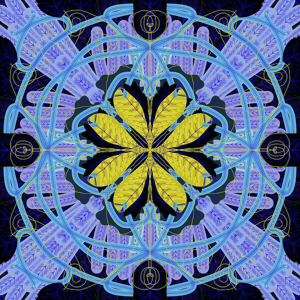 Blue and Yellow Leaf Mandala - Art Print
