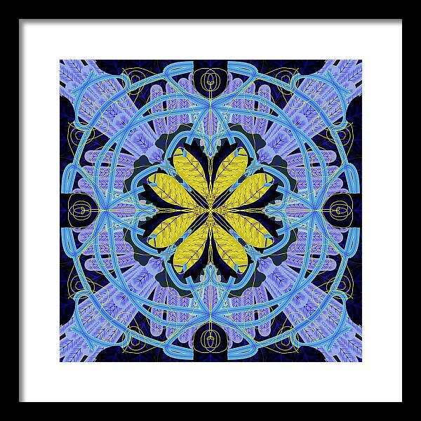 Blue and Yellow Leaf Mandala - Framed Print