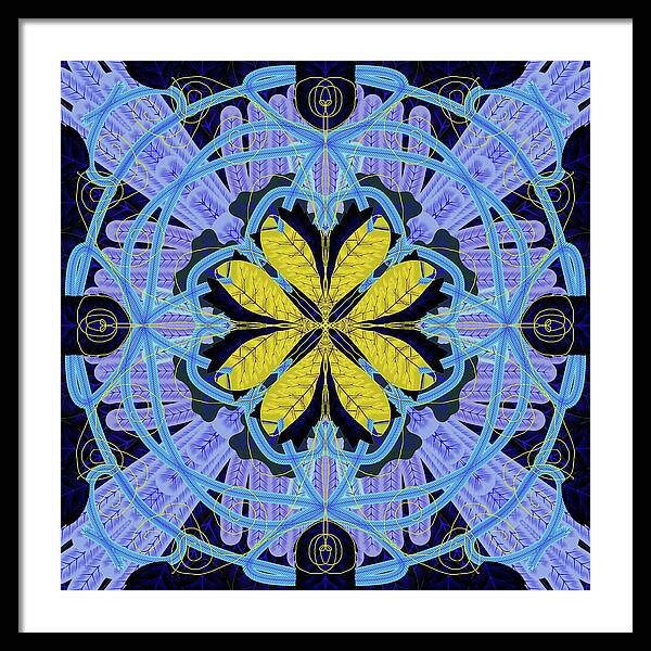 Blue and Yellow Leaf Mandala - Framed Print