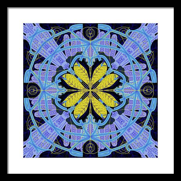 Blue and Yellow Leaf Mandala - Framed Print