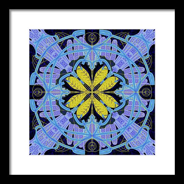 Blue and Yellow Leaf Mandala - Framed Print