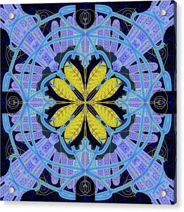 Blue and Yellow Leaf Mandala - Acrylic Print