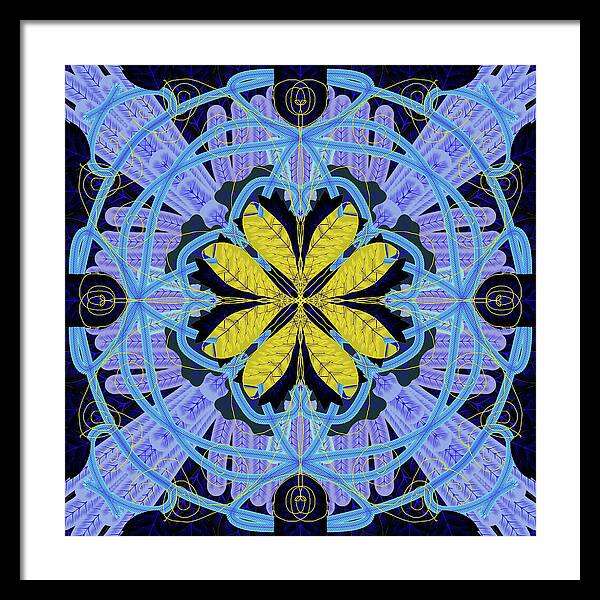 Blue and Yellow Leaf Mandala - Framed Print