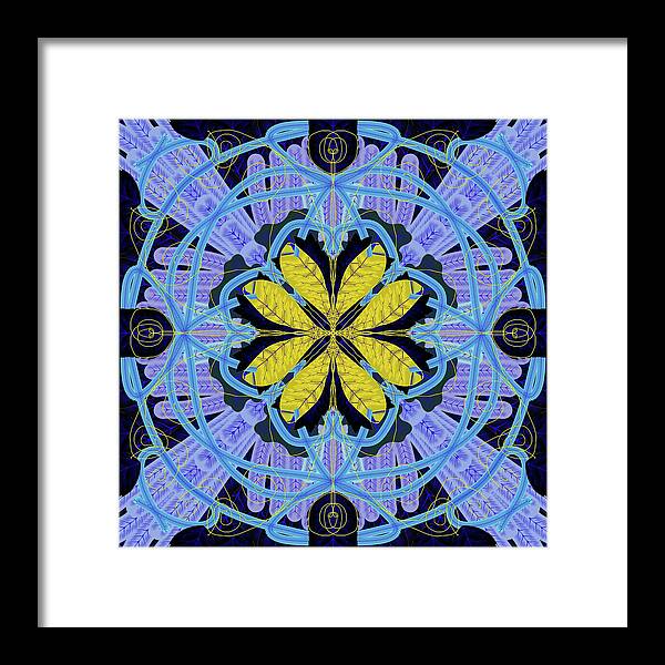 Blue and Yellow Leaf Mandala - Framed Print