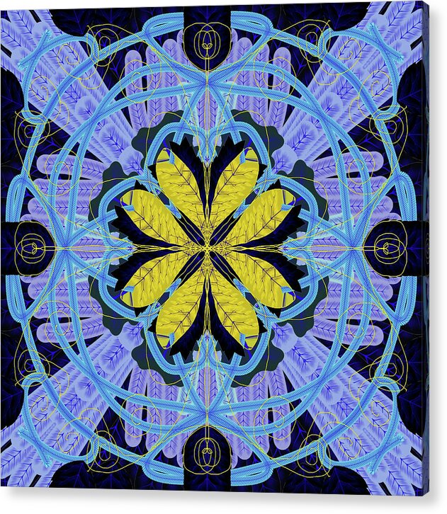 Blue and Yellow Leaf Mandala - Acrylic Print