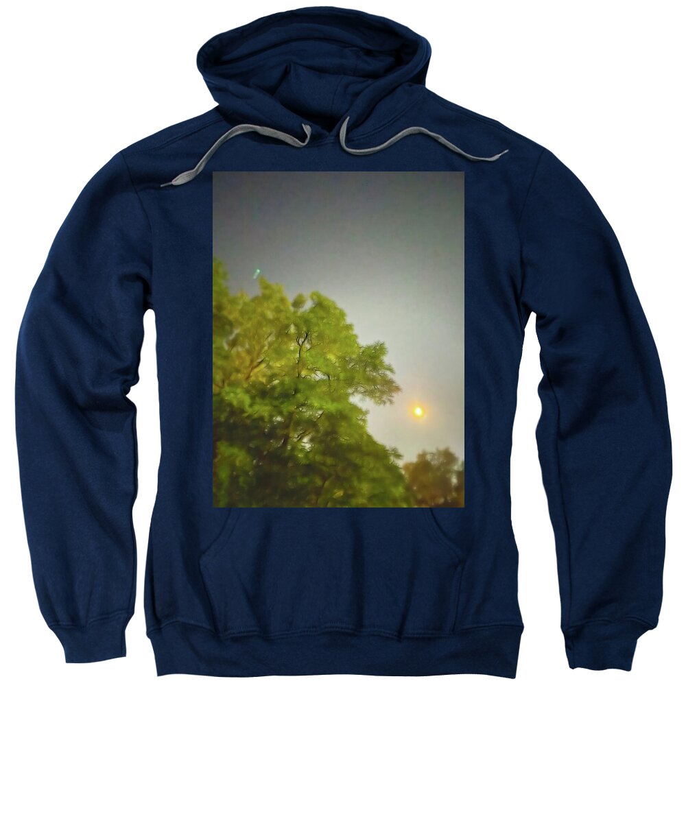 Blue Moon August 2024 - Sweatshirt
