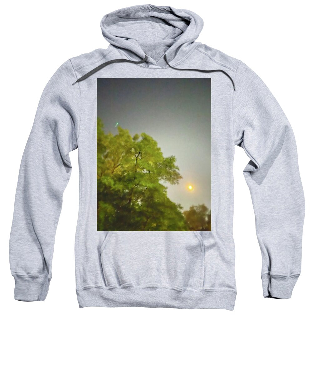Blue Moon August 2024 - Sweatshirt