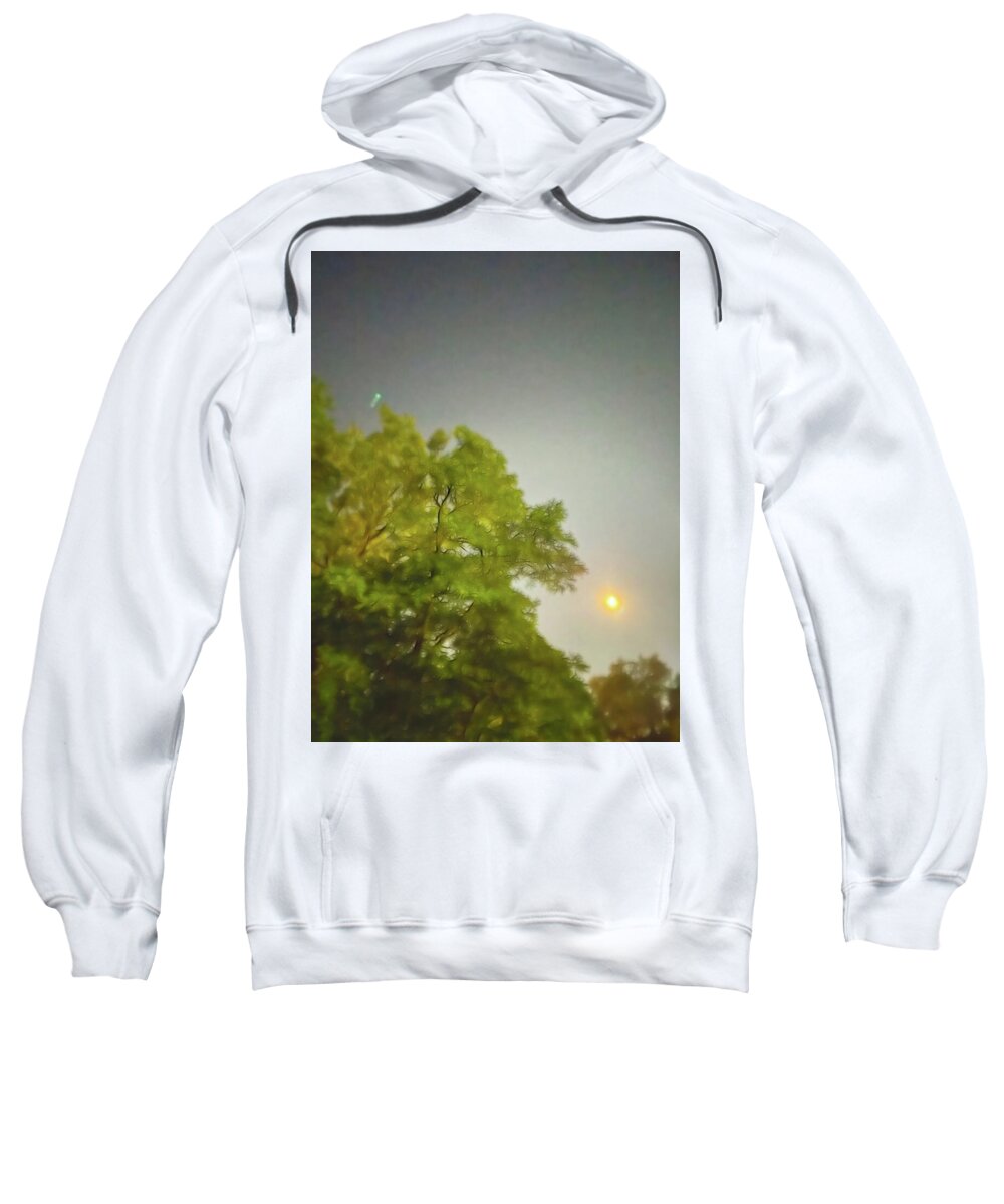 Blue Moon August 2024 - Sweatshirt