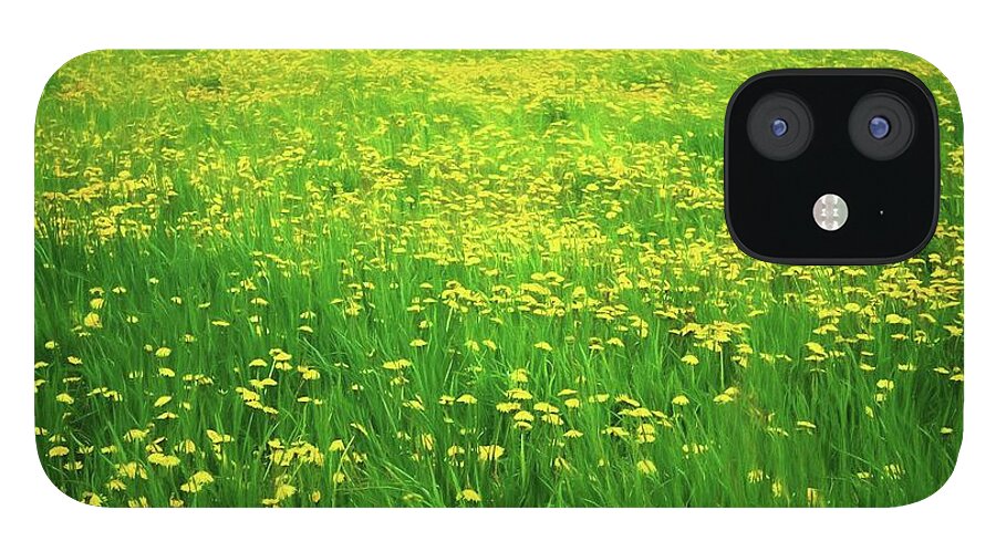 Dandelion Field - Phone Case