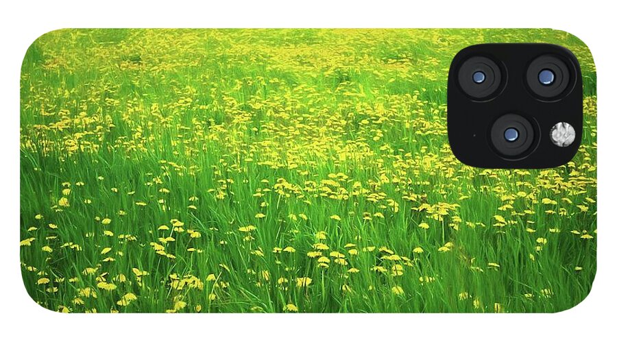 Dandelion Field - Phone Case