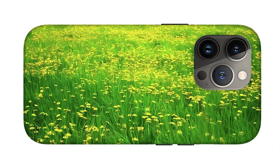 Dandelion Field - Phone Case