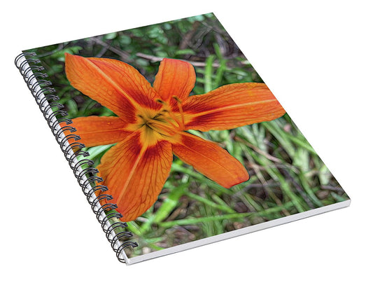 Late June Tiger Lily - Spiral Notebook