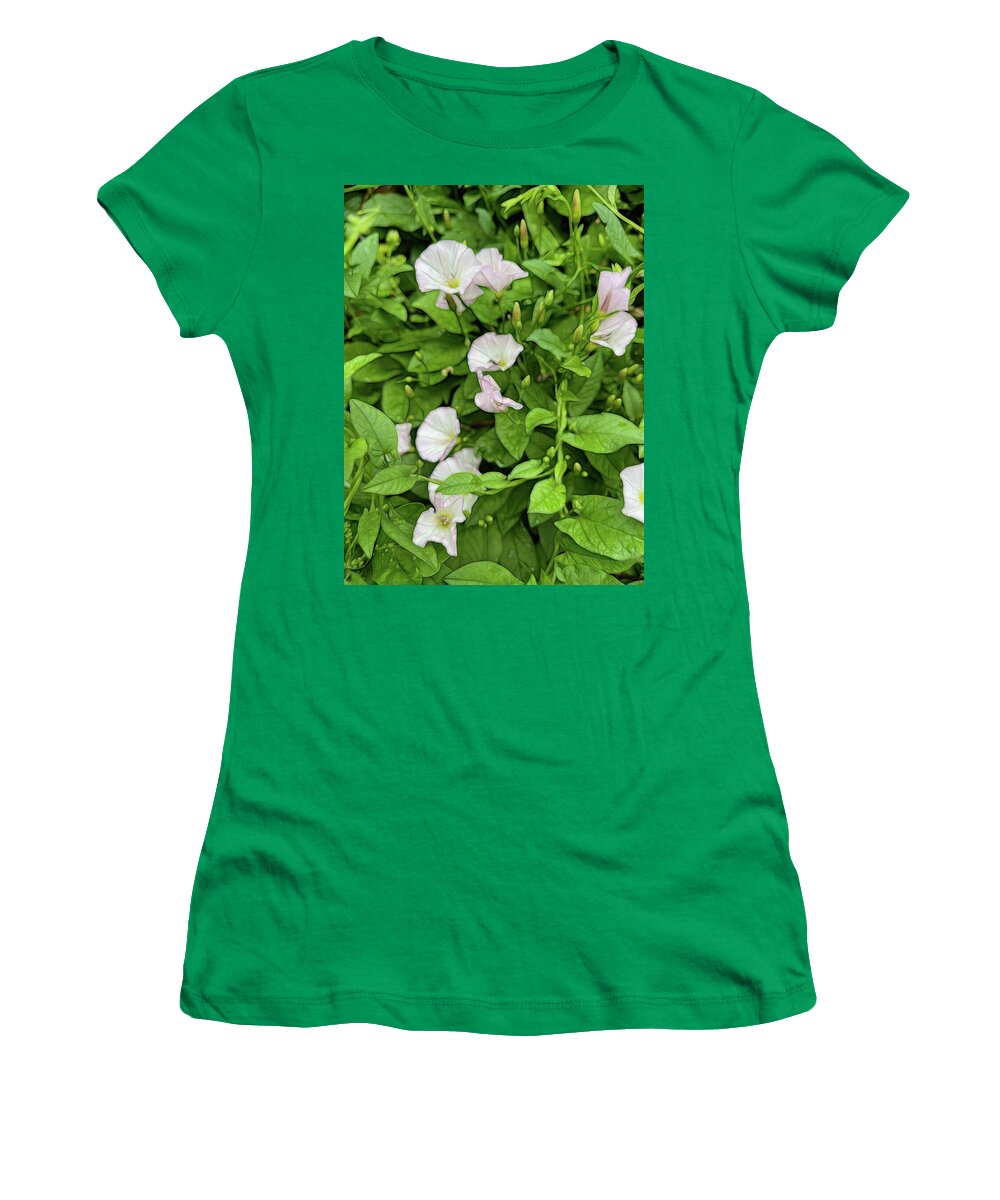 Morning Glories - Women's T-Shirt