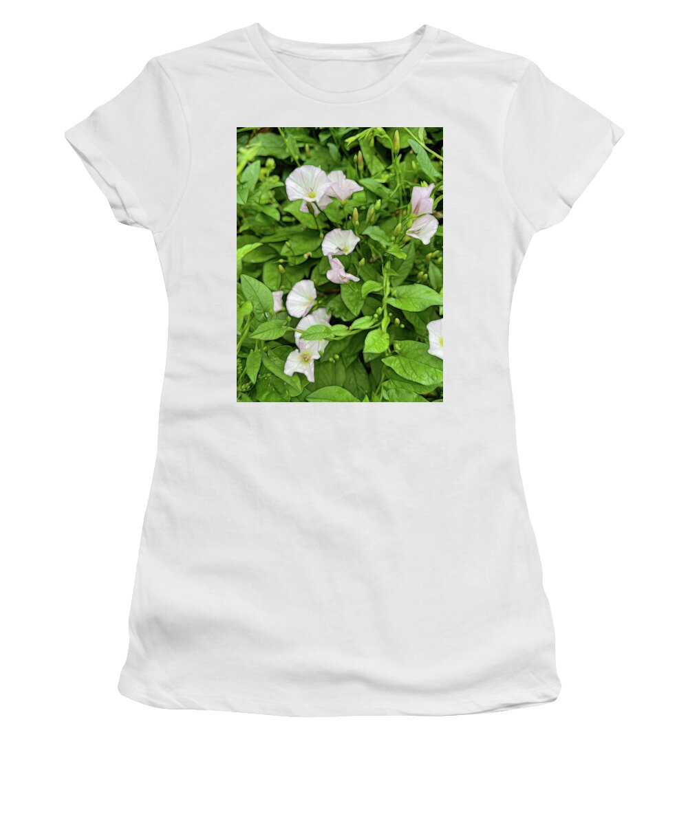 Morning Glories - Women's T-Shirt