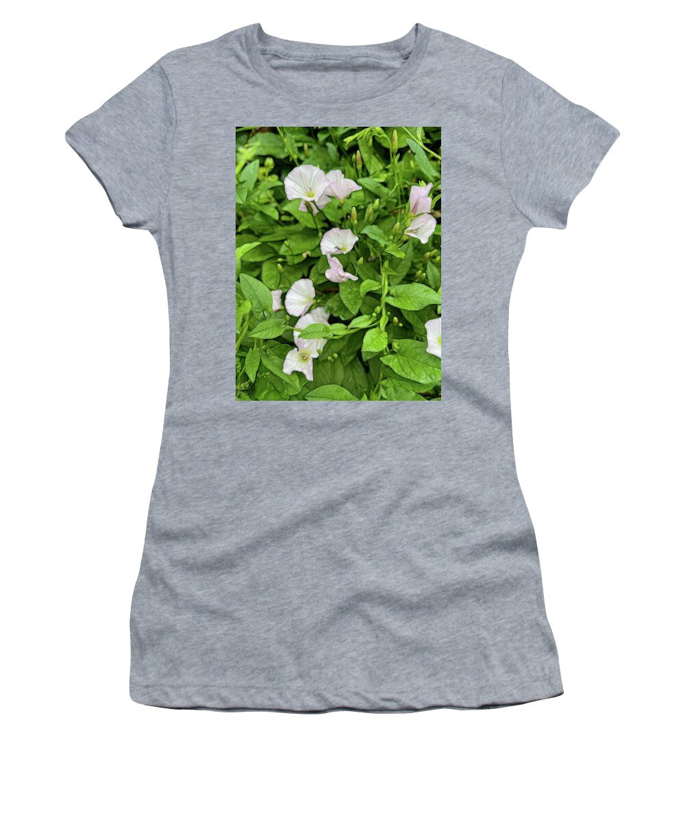 Morning Glories - Women's T-Shirt