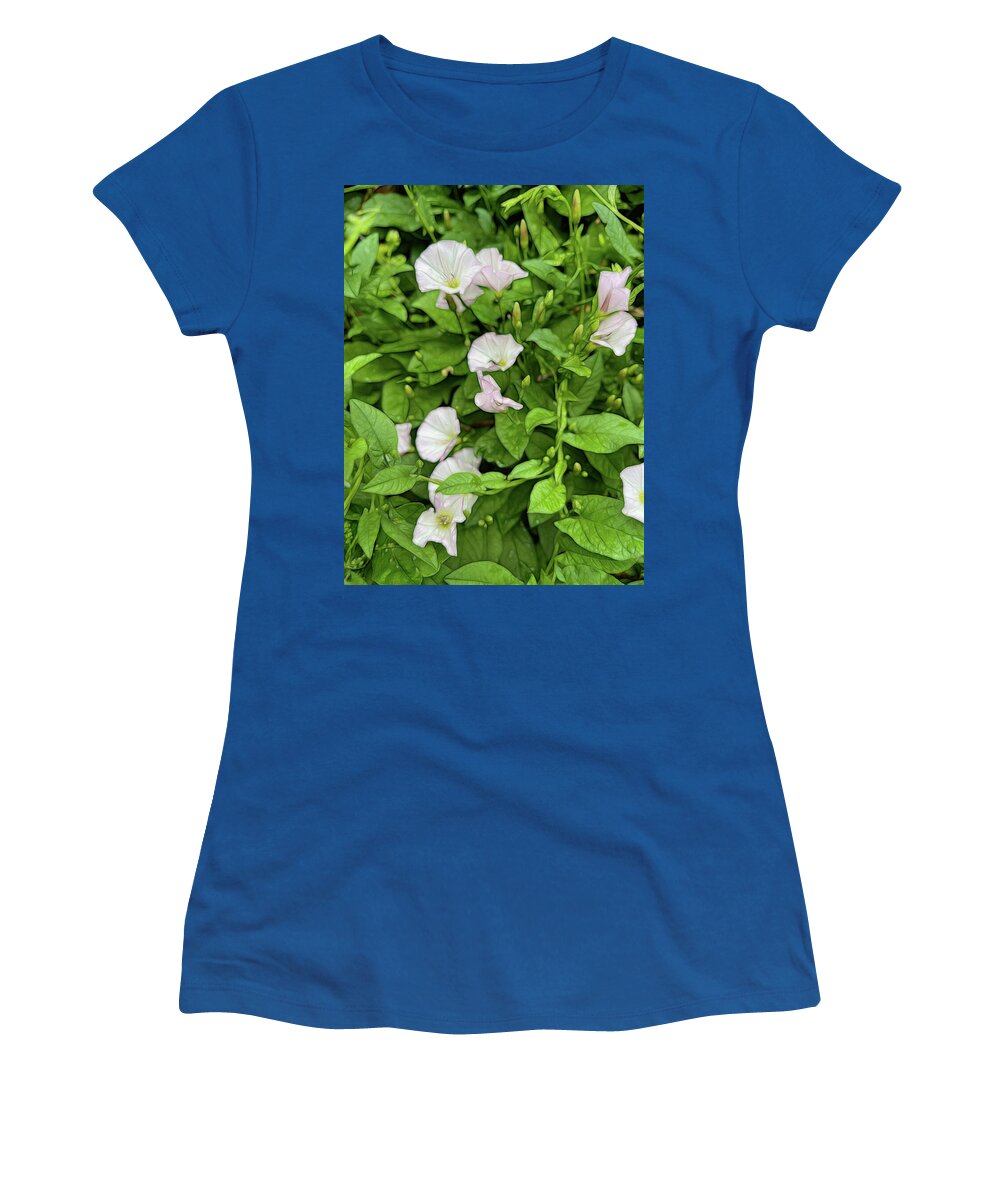 Morning Glories - Women's T-Shirt