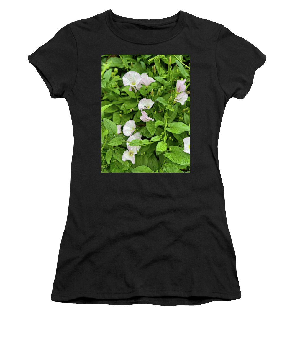 Morning Glories - Women's T-Shirt